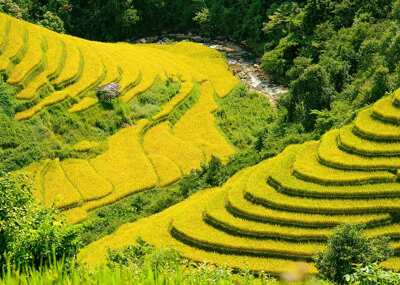 Best of Vietnam from Mountains to the Seas - 17 Days Tour