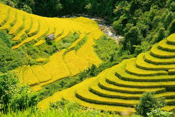 Best of Vietnam from Mountains to the Seas - 17 Days Tour