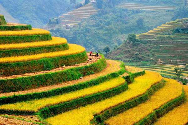 Northern Vietnam Odyssey: Hanoi, Sapa, Mai Chau, and Halong Bay 8-Day