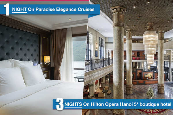 Cabin Paradise Elegance Cruises