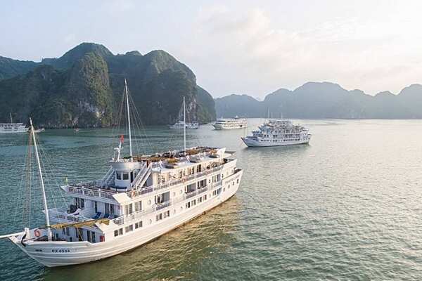 Paradise sails Cruise in Halong Bay