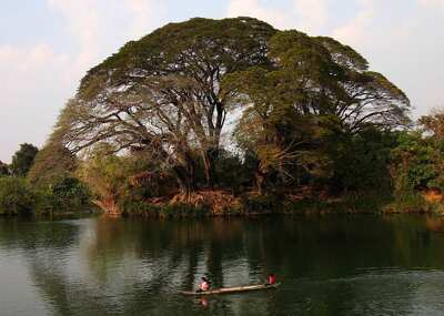 Golden Triangle Adventure: Laos to Thailand 6-Day