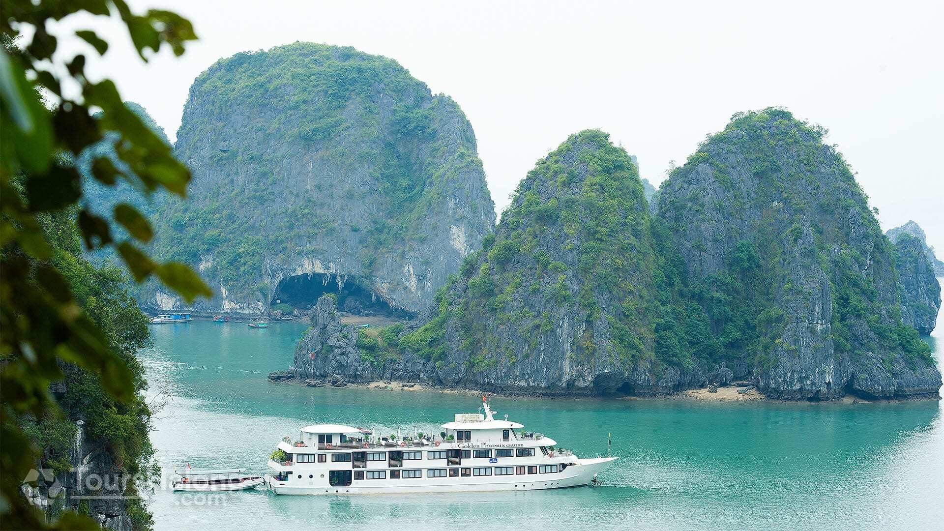 Phoenix Cruiser Halong Bay