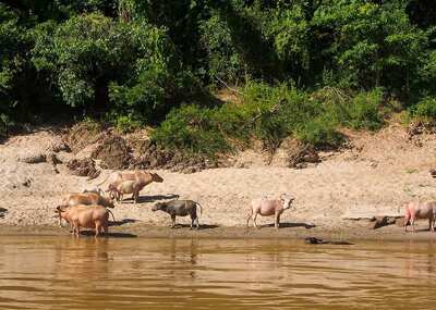 Journey to the Golden Triangle: Vientiane to Chiang Mai 10-Day