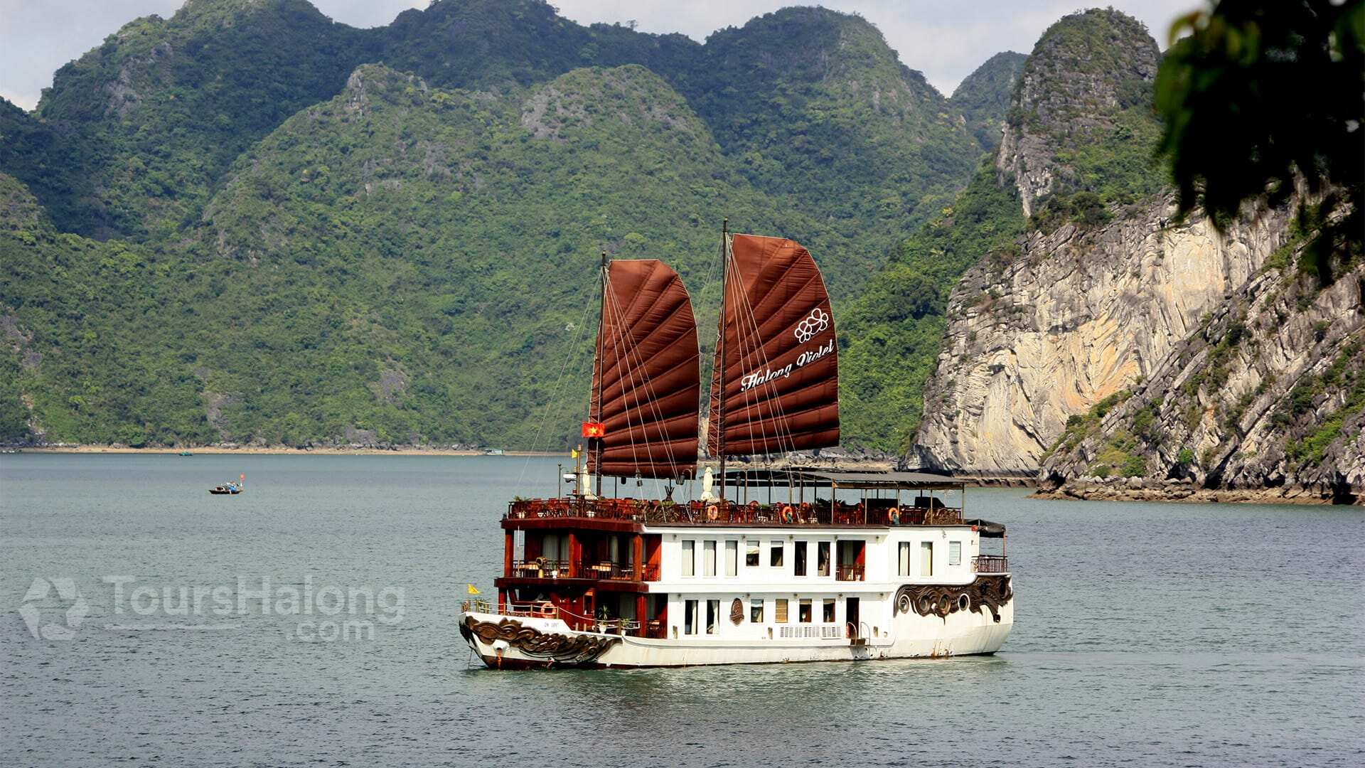 Violet Cruise Halong Bay